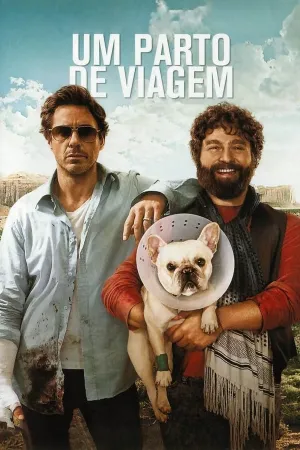Poster Um Parto de Viagem