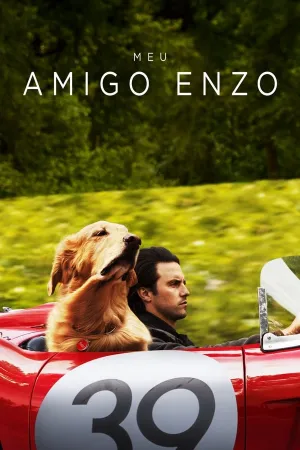 Poster Meu Amigo Enzo