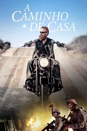 Poster A Caminho De Casa