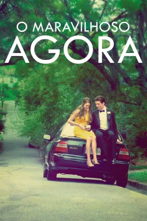Poster O Maravilhoso Agora