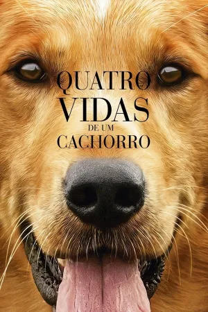 Poster Quatro Vidas de um Cachorro