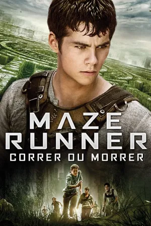 Poster Maze Runner: Correr ou Morrer