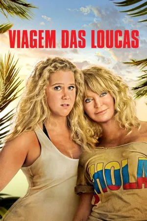 Poster Viagem das Loucas