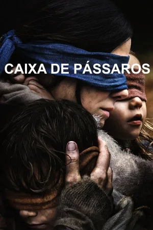 Poster Caixa de Pássaros