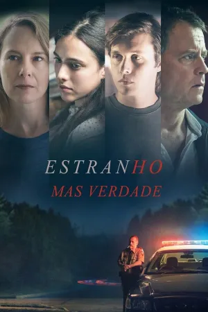 Poster Estranho Mas Verdade