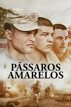 Poster Pássaros Amarelos