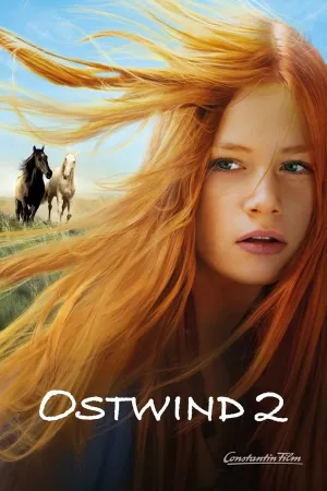 Poster Livres Como o Vento 2
