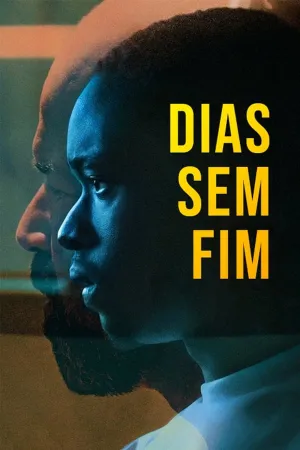 Poster Dias Sem Fim