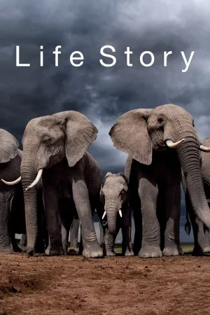 Poster Life Story