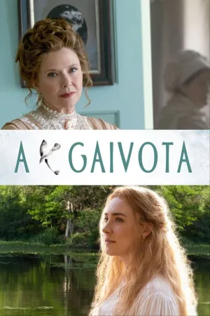 Poster A Gaivota