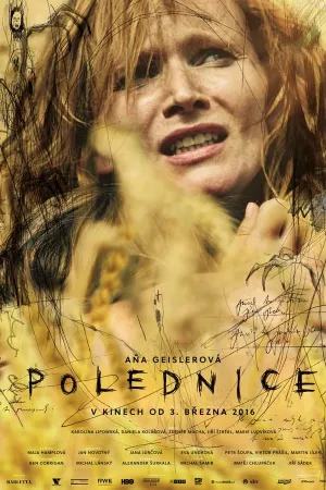 Poster Polednice
