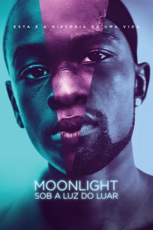Poster Moonlight: Sob a Luz do Luar