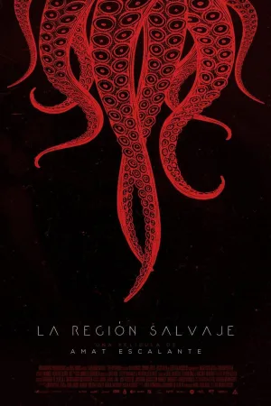 Poster A Região Selvagem