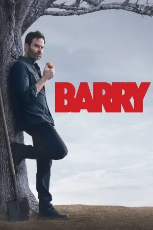 Poster Barry