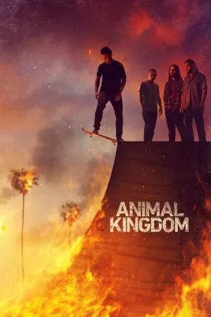 Poster Reino Animal