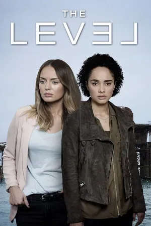 Poster The Level