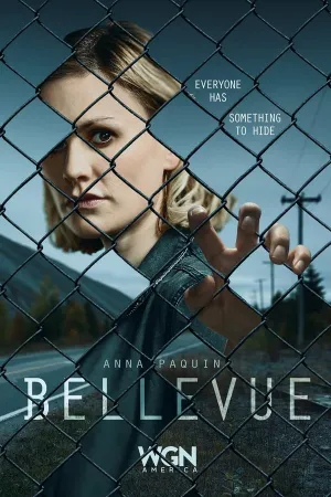 Poster Bellevue