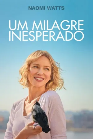 Poster Um Milagre Inesperado