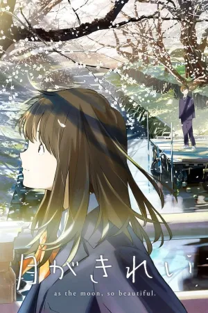 Poster Tsuki ga Kirei