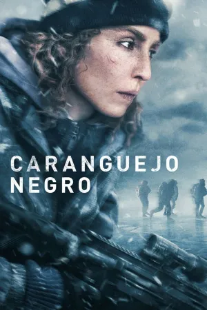 Poster Caranguejo Negro