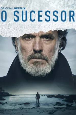 Poster O Sucessor