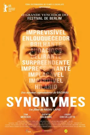 Poster Sinônimos