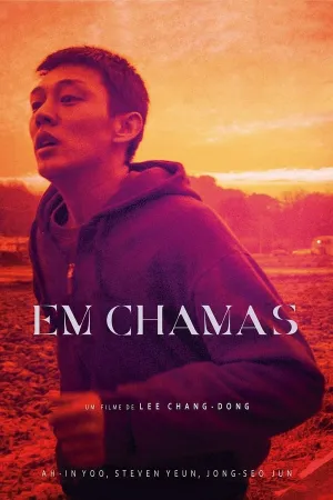 Poster Em Chamas