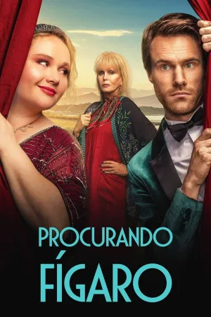 Poster Procurando Fígaro