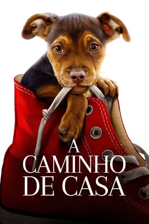 Poster A Caminho de Casa