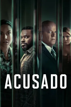 Poster Acusado