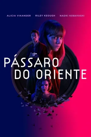 Poster Pássaro do Oriente
