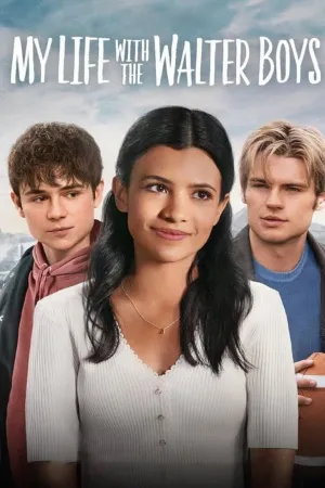 Poster Minha Vida com a Família Walter