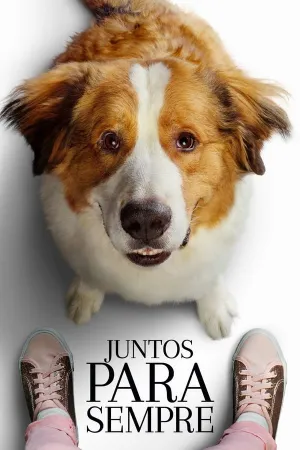 Poster Juntos para Sempre