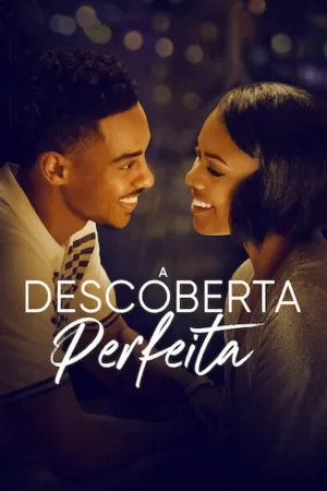 Poster A Descoberta Perfeita
