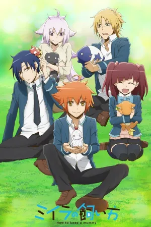 Poster Miira no Kaikata