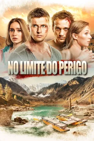 Poster No Limite do Perigo