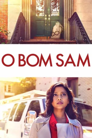 Poster O Bom Sam