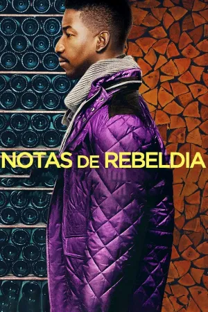 Poster Notas de Rebeldia