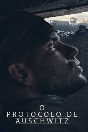 Poster O Protocolo de Auschwitz