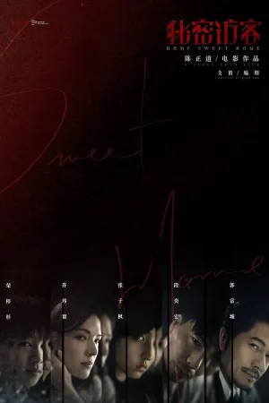 Poster 秘密访客