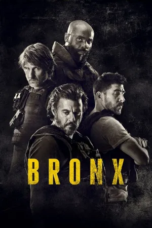 Poster Bronx