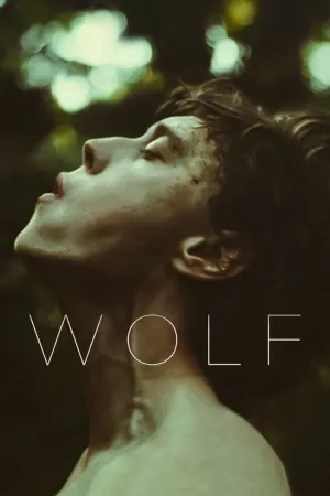 Poster O Lobo