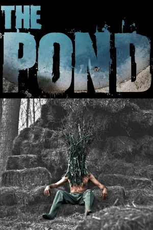 Poster The Pond
