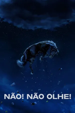 Poster Não! Não Olhe!