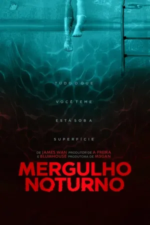 Poster Mergulho Noturno