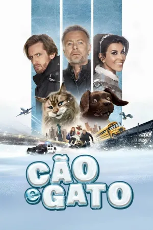 Poster Cão e Gato