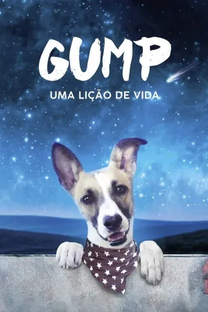 Poster Gump: Uma Lição de Vida