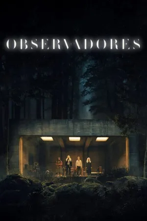 Poster Os Observadores