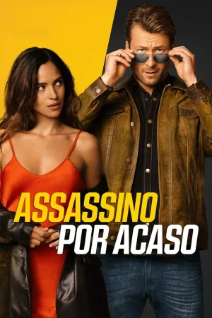 Poster Assassino por Acaso