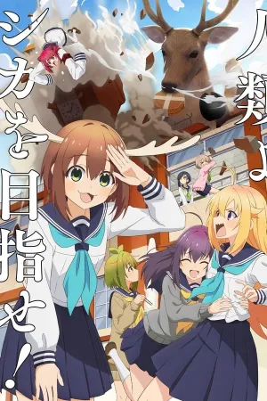 Poster Minha Amiga Nokotan é um Cervo